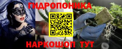 дживик Кимры