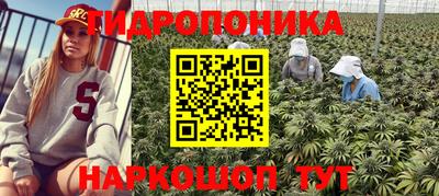 меф Кинель