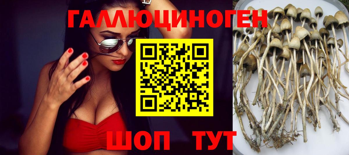 Псилоцибиновые грибы Cubensis  Вход с VPN  как найти   Валуйки 